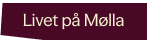 Et bilde som er lagt til i innlegget.